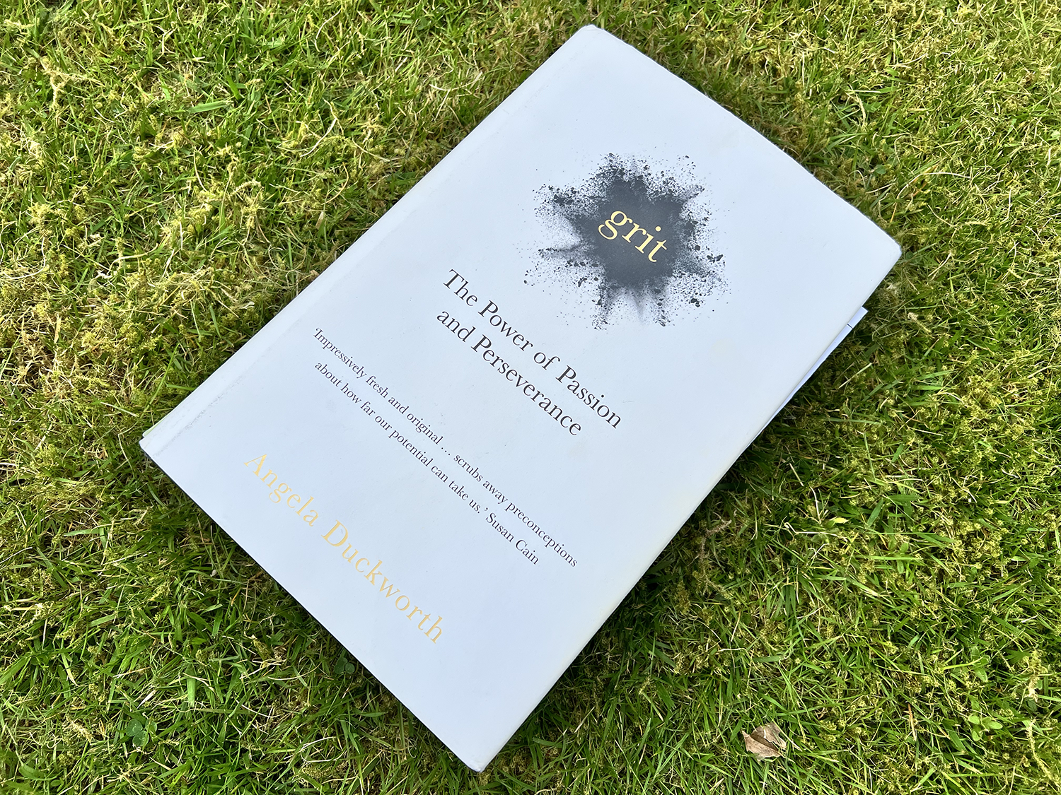 Grit book on grass