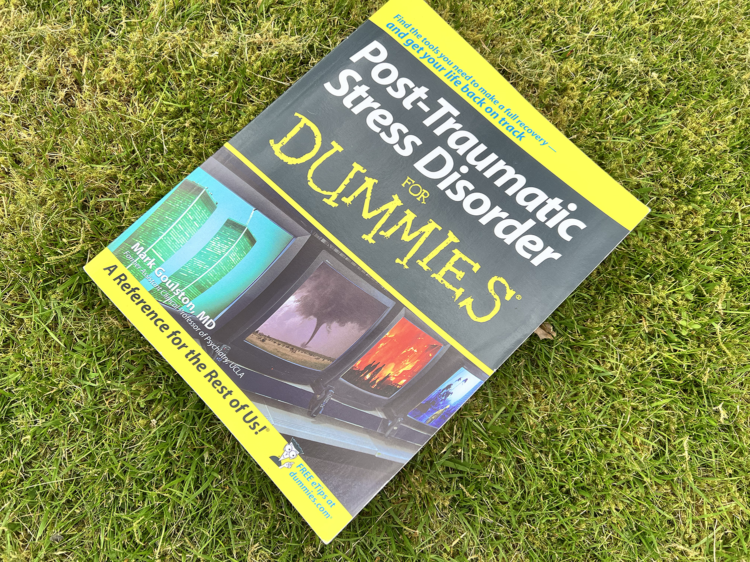 PTSD for dummies book on grass